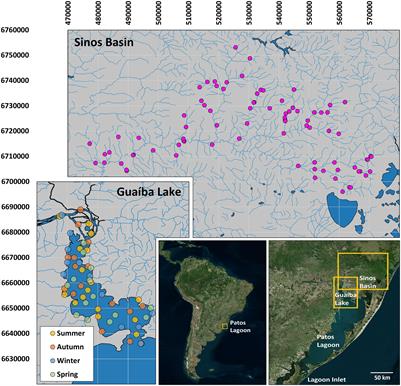 How Far Upstream: A Review of Estuary-Fresh Water Fish Movements in a Large Neotropical Basin